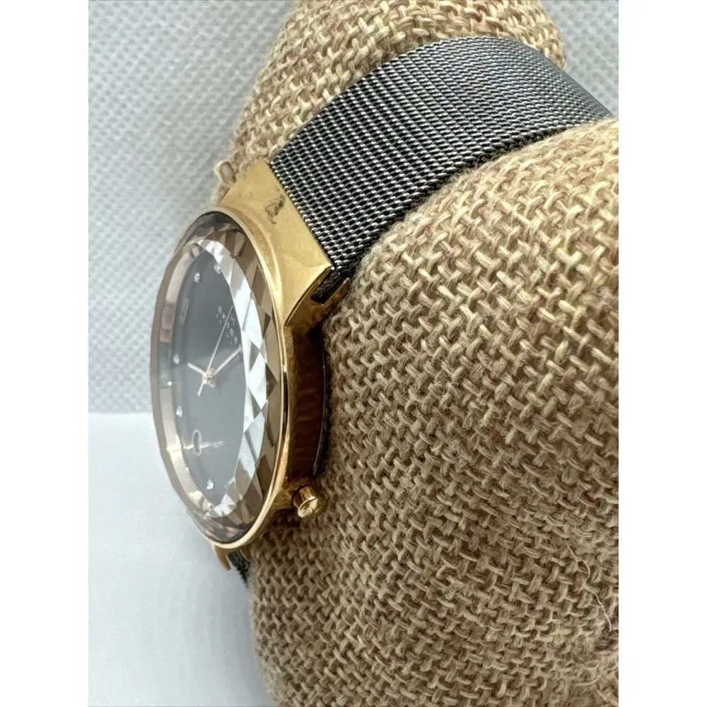 Skagen SKW2120 Women's Gray Stainless Steel Mesh Analog Dial Quartz Watch JNA916